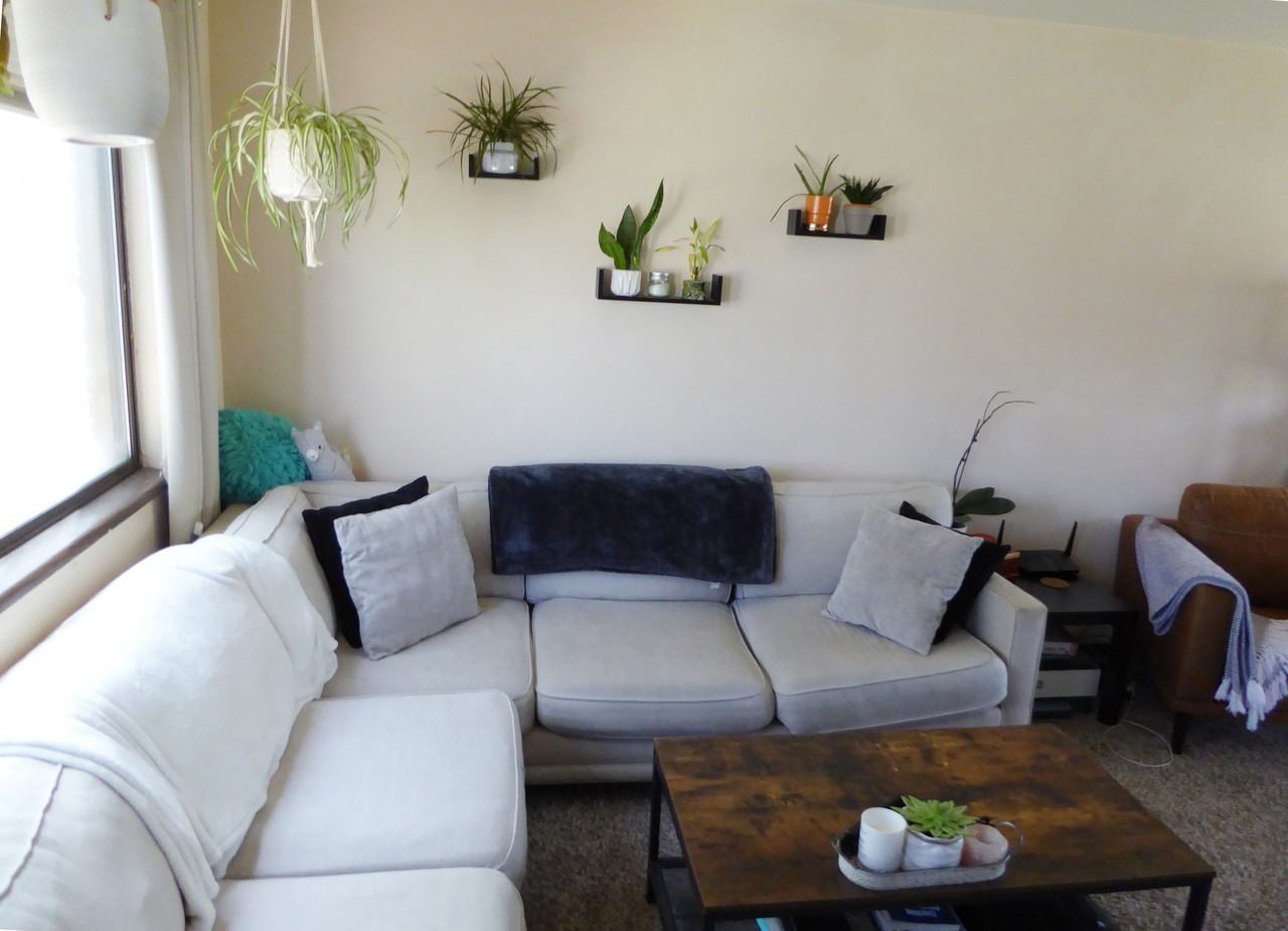 1713 Banyan Drive - Photo 3 of 7