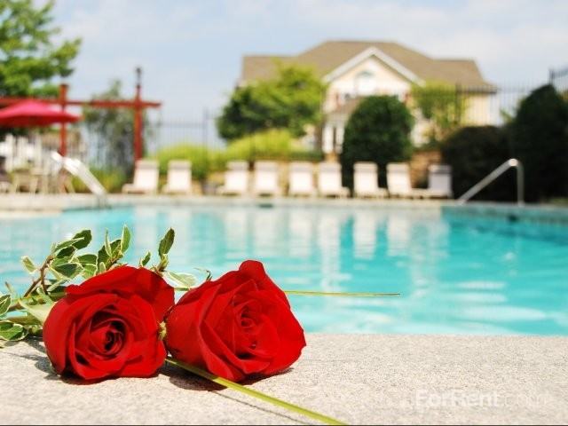 Parkway Vista - Photo 3 of 16