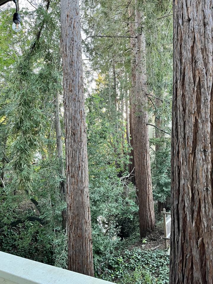 Redwood Creek Apartments - Photo 5 of 6