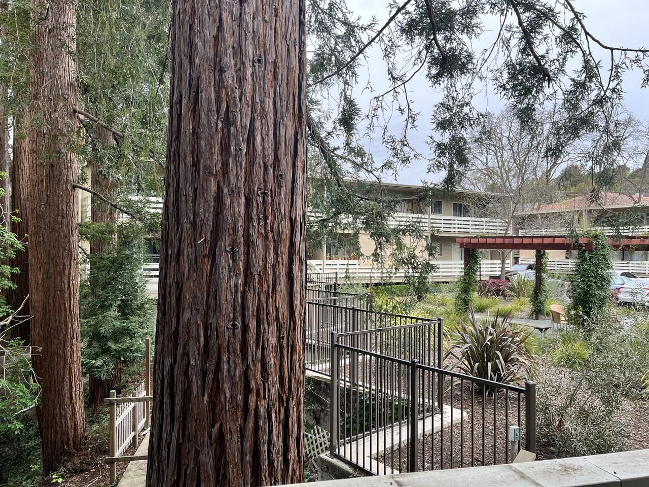 Redwood Creek Apartments - Photo 3 of 6