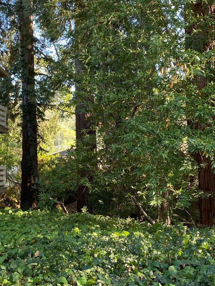 Redwood Creek Apartments - Photo 6 of 6