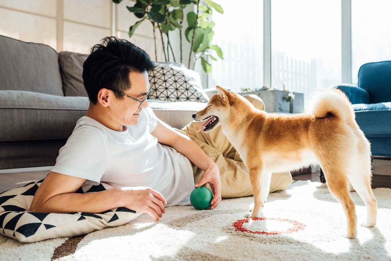 M Lofts - Photo 6 of 13