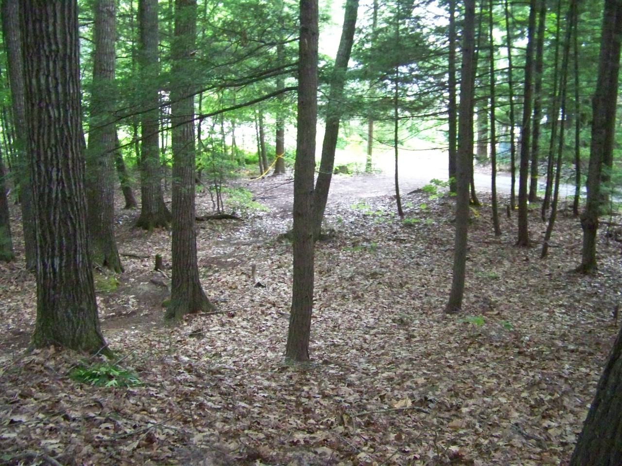 42 Oak Drive - Photo 3 of 12