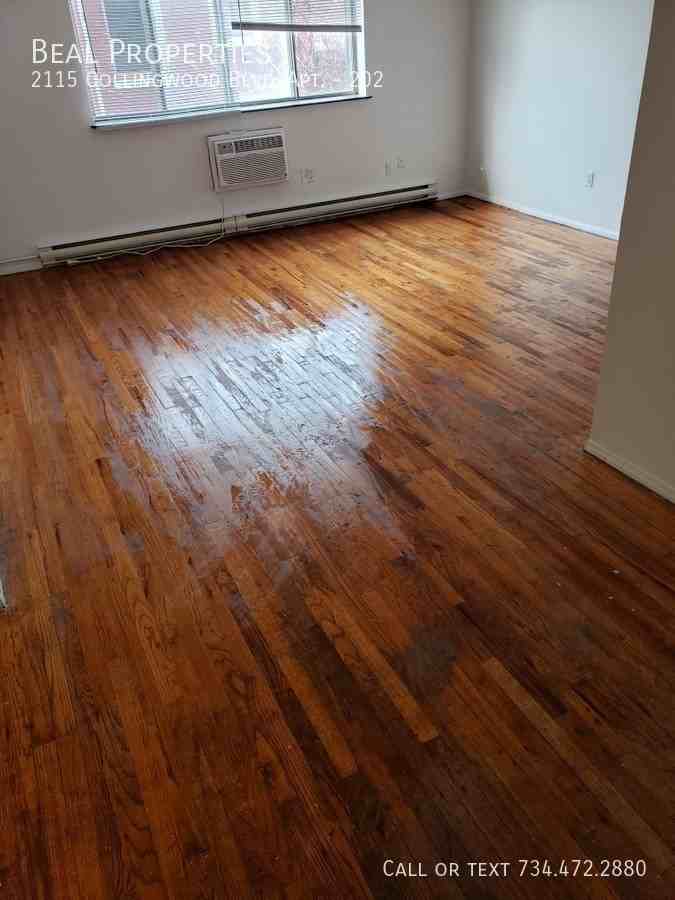 2115 Collingwood Boulevard #202 - Photo 4 of 12