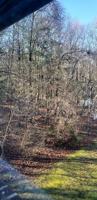 featured image of 65 Newman Rd #D