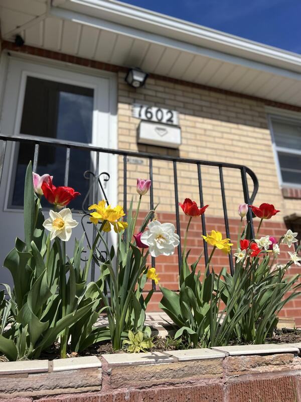 1602 Hot Springs Ave - Photo 2 of 19