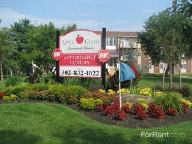 Apple Chase - Photo 2 of 32