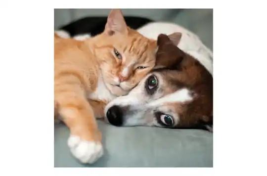 York Properties, Inc. 2 of 2