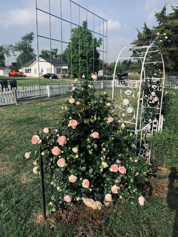 1701 Nw 29th St - Photo 2 of 18