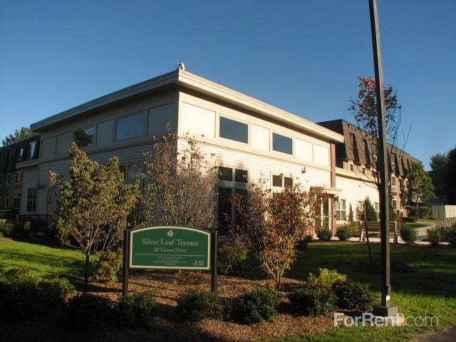 Silver Leaf Terrace - Photo 3 of 8