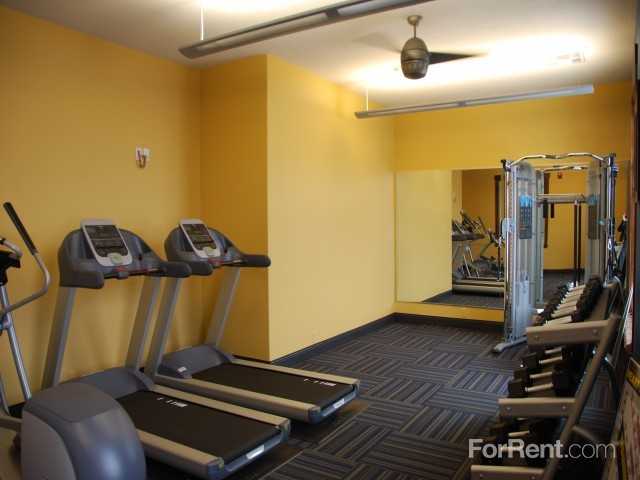 Seasons of Layton - Photo 3 of 262