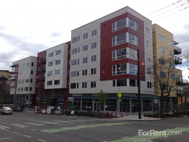 Soren - Photo 2 of 10