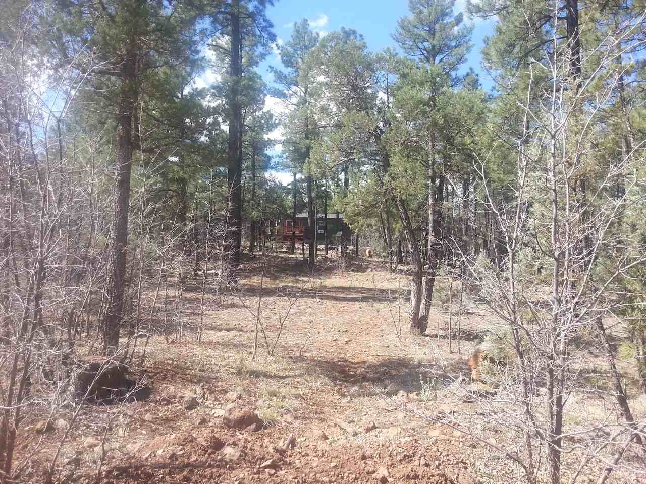 2350 N Blue Grass Ranch Dr - Photo 2 of 23