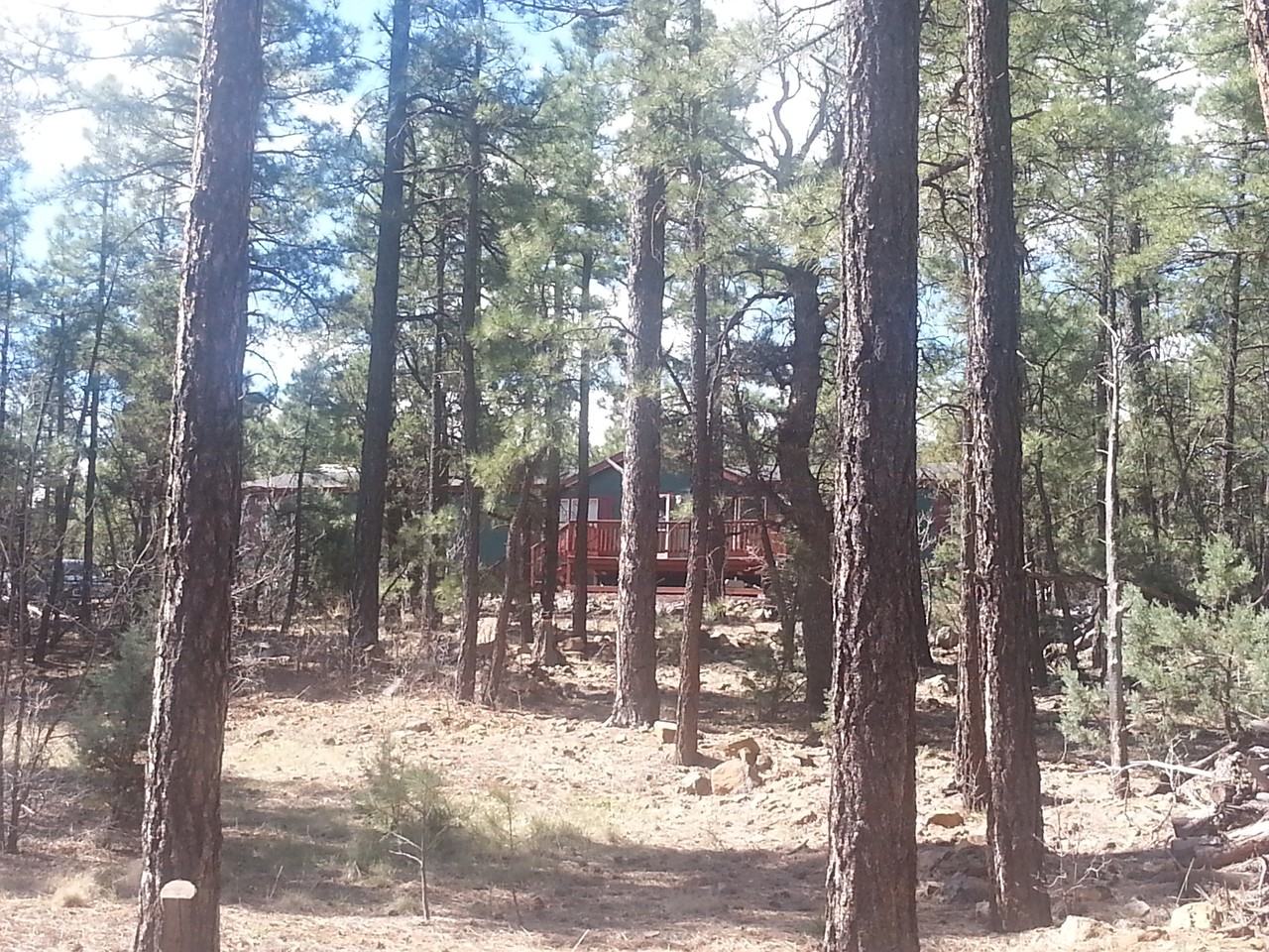 2350 N Blue Grass Ranch Dr - Photo 3 of 23