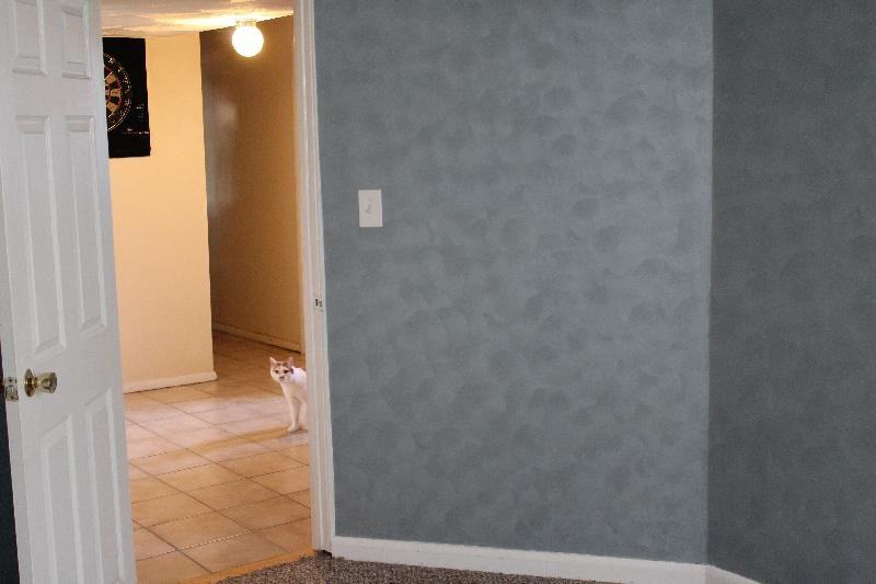 31 Mark Terrace - Photo 3 of 11