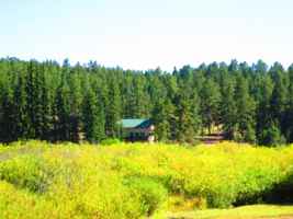 featured image of 15729 Pine Lake Dr