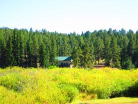 15729 Pine Lake Dr - Photo 1 of 1