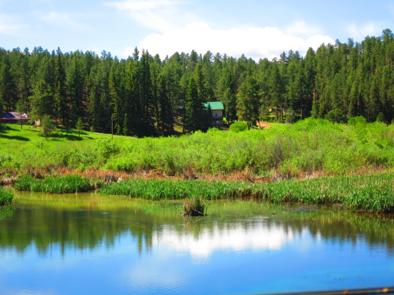 15729 Pine Lake Dr - Photo 5 of 30