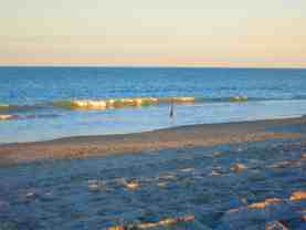 3150 N Atlantic Ave #770 - Photo 1 of 1