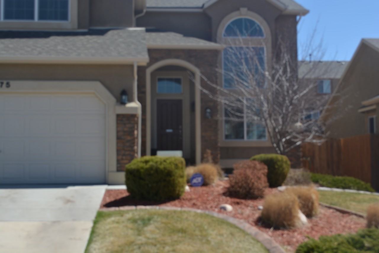 6375 Sundance Kid Dr - Photo 2 of 22