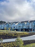 featured image of 335 Shannon Pl