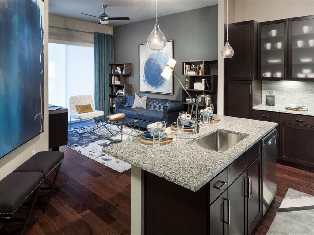 Lyra on McKinney - Photo 4 of 27