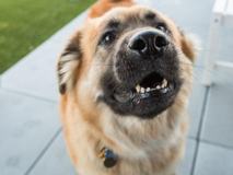 1023 E Alder St - Photo 1 of 1