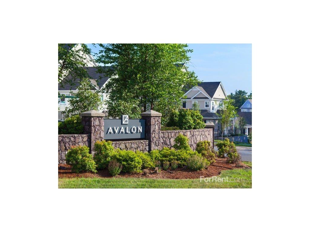 Avalon Canton at Blue Hills - Photo 2 of 3