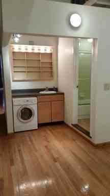 7225 507 N 13th Street- Knickerbocker #304 - Photo 3 of 14