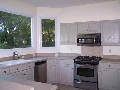 8423 Bald Eagle Ln - Photo 3 of 18