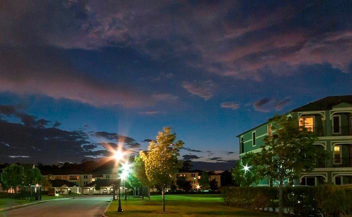 Farm to Market Road 1488 #880v