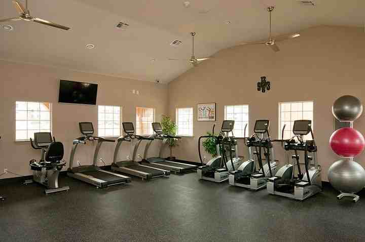 Farm to Market Road 1488 #542v