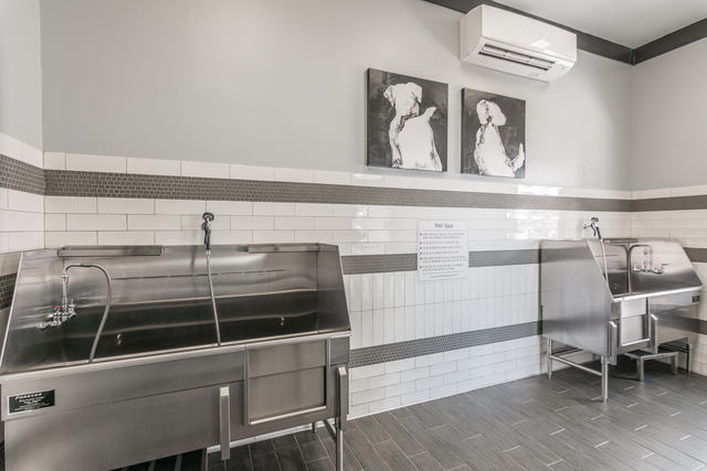 Vintage Gateway Apartments - Photo 7 of 18