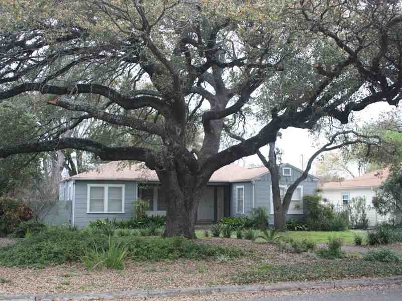 149 E Terra Alta Rd - Photo 2 of 18