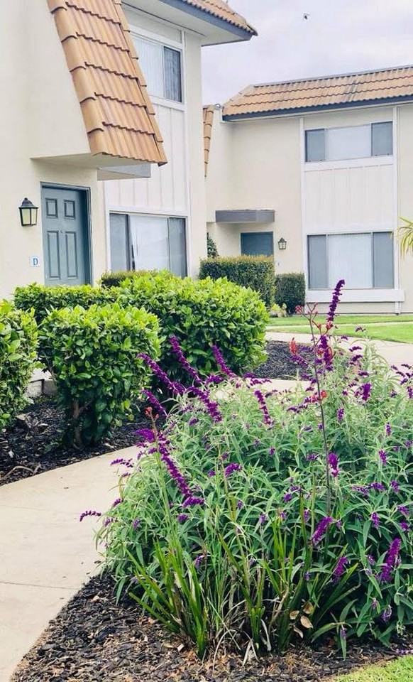 Westerly Shores - Photo 6 of 11