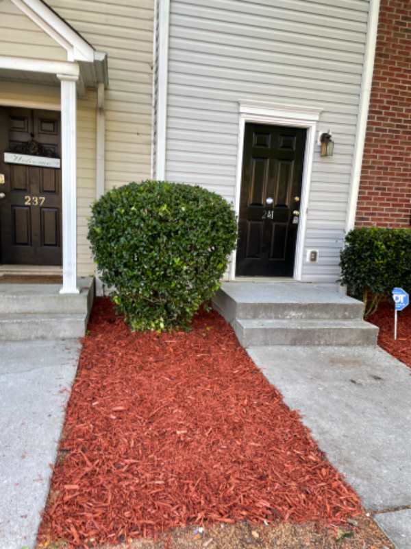 241 Enterprise Path - Photo 4 of 23