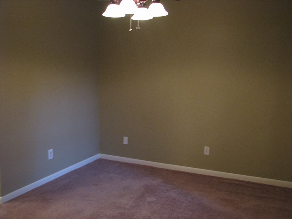 2931 Long Rifle Dr - Photo 3 of 25