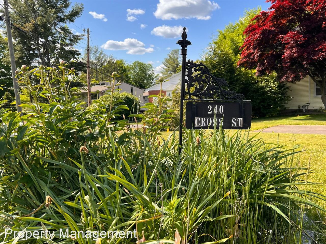 240 Cross Street - Photo 3 of 27