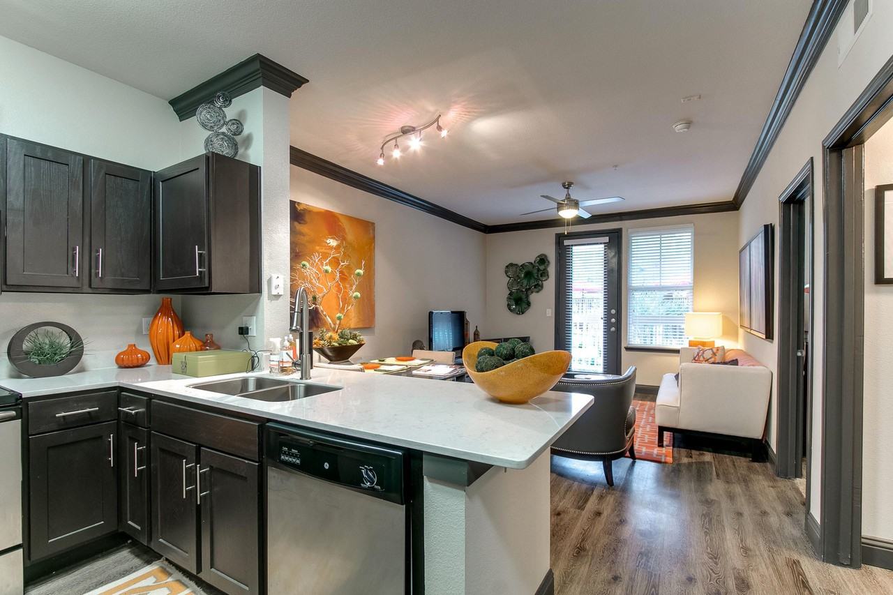 The Viv on West Dallas - Photo 4 of 50