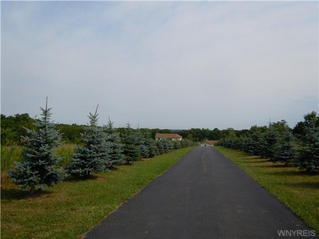 1238 Blakeley Rd - Photo 2 of 17