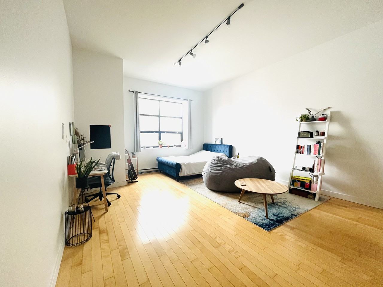 4205 Rue Saint-Denis #214, Montréal, QC H2J 2K8 1 Bedroom