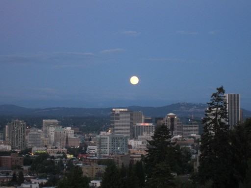 838 NW Albemarle Terrace - Photo 3 of 34