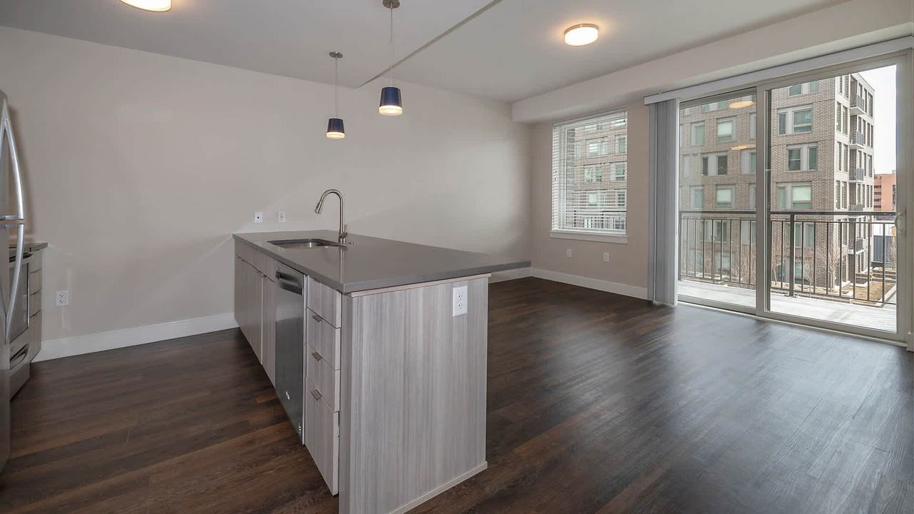 Theo - Photo 7 of 39