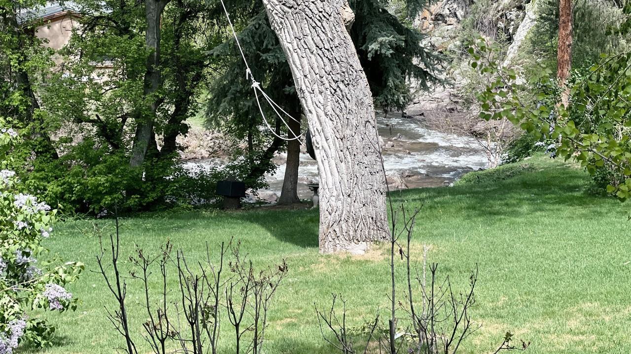 37 Silver Spruce #A - Photo 4 of 36