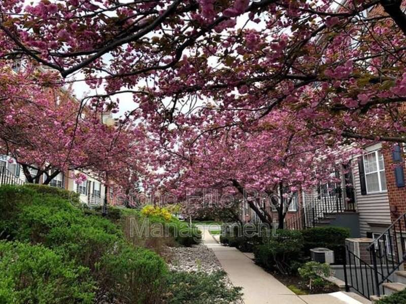 Society Hill - Photo 3 of 3