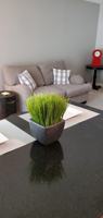 featured image of 421 College Avenue #305