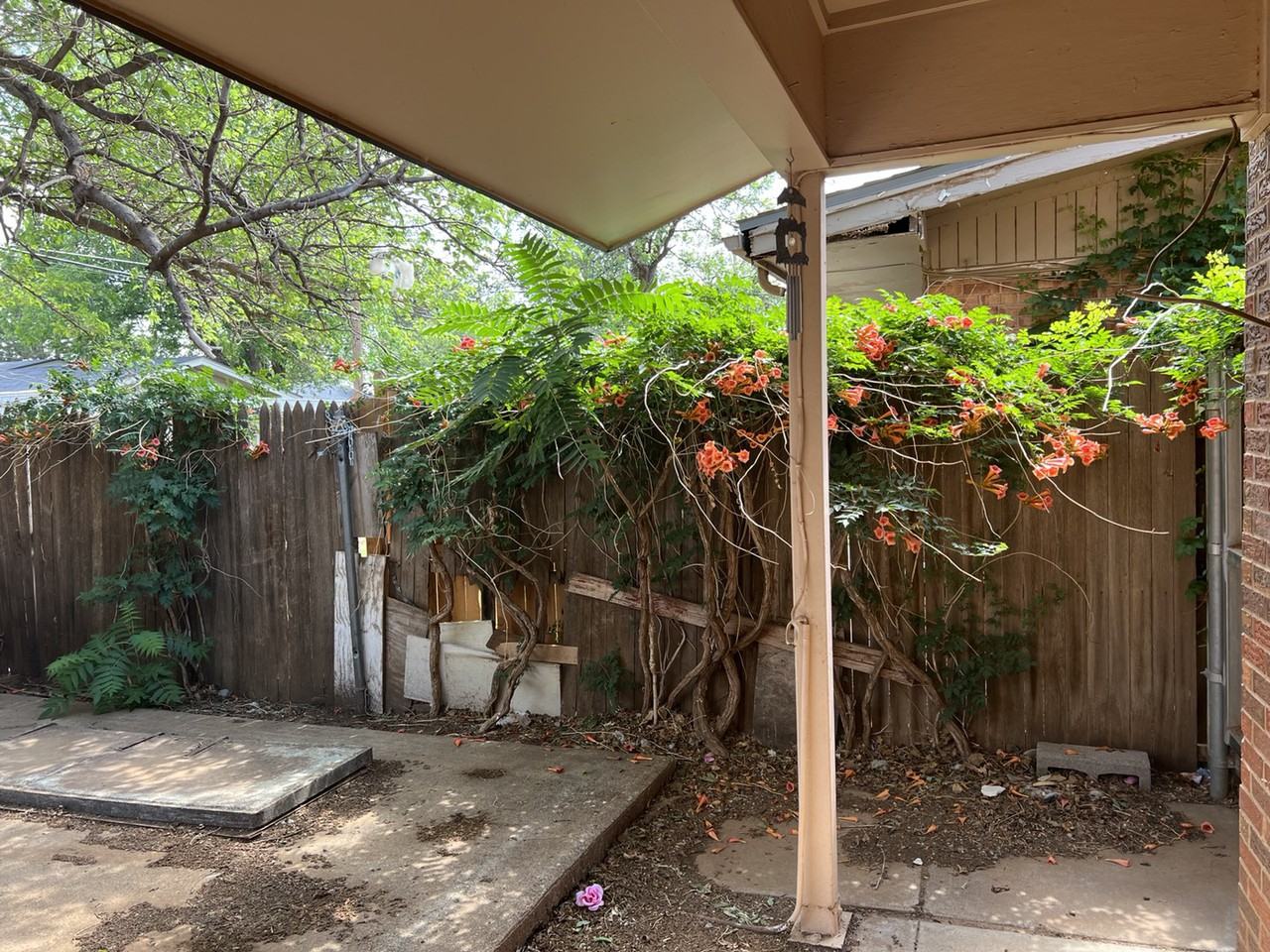 5405 31st Street - Photo 2 of 18