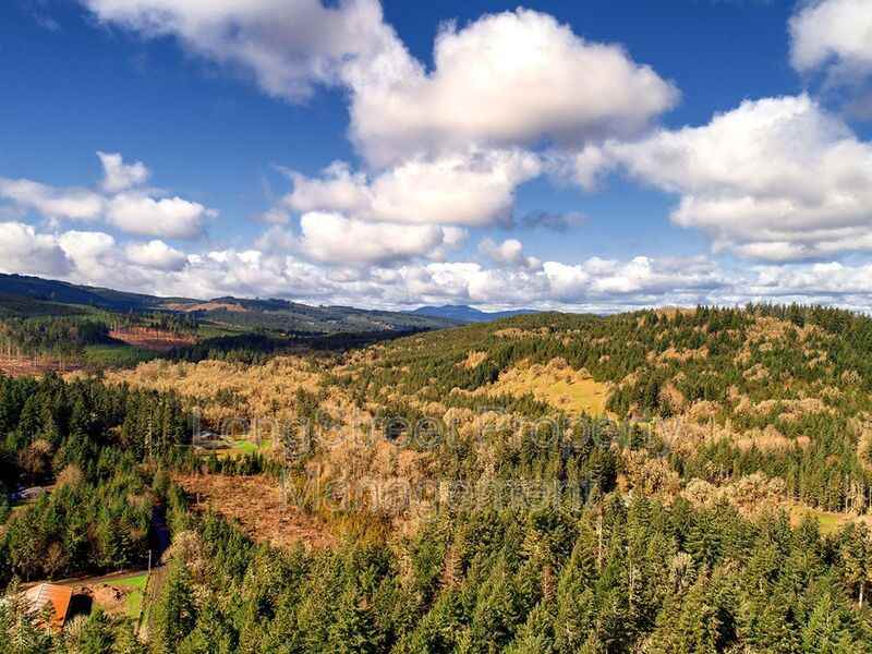 28087 Ewelty Way - Photo 3 of 32