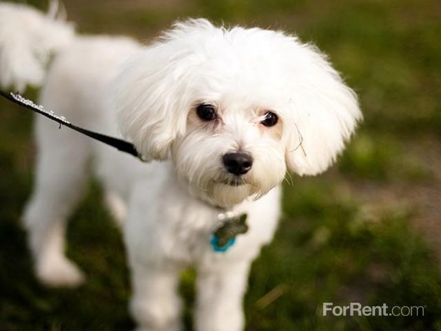 Riverside 9 Apartments - Photo 3 of 40