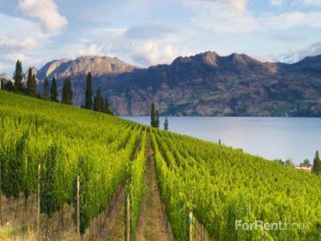 Riverside 9 Apartments - Photo 2 of 40